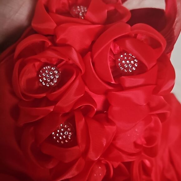 Toddler Girl's Custom-Made Rose Petals Chiffon Dress With Petticoat Red 12-Month - Picture 13 of 16